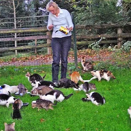 Ferienhaus Krieglach *