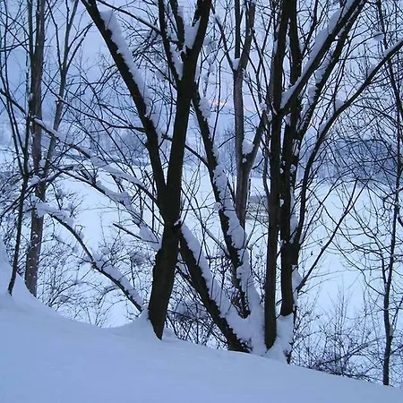 Ferienhaus Krieglach * קריגלאך