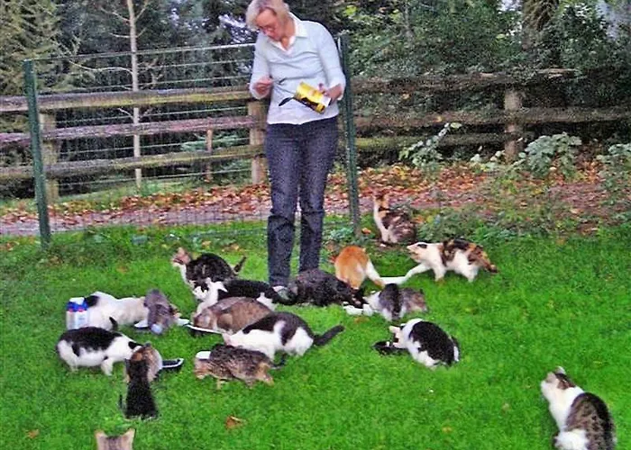 Ferienhaus Krieglach *